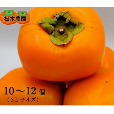 【先行受付　2026年秋順次発送】秋の味覚のたねなし柿(3Lサイズ　10～12個)
