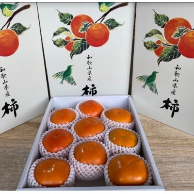 【先行受付　2026年11月以降順次発送】紀州てまり　4Lサイズ