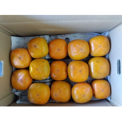 和歌山県橋本市栽培のご家庭用たねなし柿約5キロ【配送不可地域：離島】