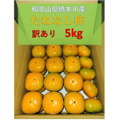 【令和7年10月発送予定】藤田ぶどう園のたねなし柿(訳あり)5kg
