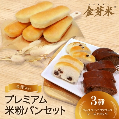【結Musubi】金芽米のプレミアム米粉パンセット　グルテンフリー　金の米粉パンシリーズ【配送不可地域：離島】