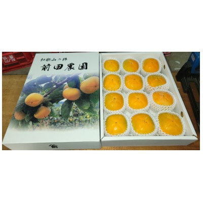 【先行受付】和歌山県産(刀根早生)贈答用3kg