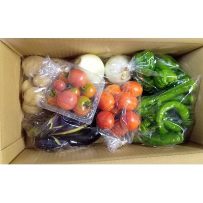 旬の野菜セット【配送不可地域：離島】