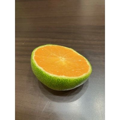 【先行受付】和歌山県産温州みかん　5kg　わけあり品