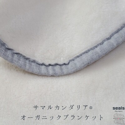 サマルカンダリア　オーガニック綿毛布　シングル　ナチュラル・ブルー 140cm×200cm