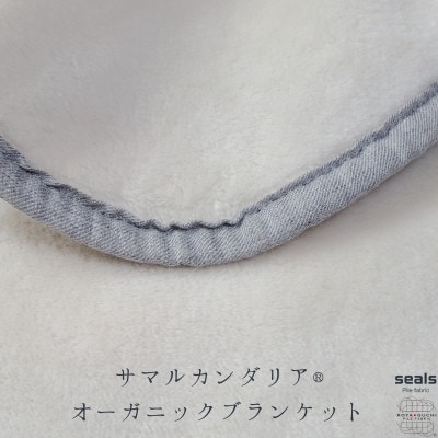 サマルカンダリア　オーガニック綿毛布　クオーターサイズ　ナチュラル・ブルー 70cm×100cm