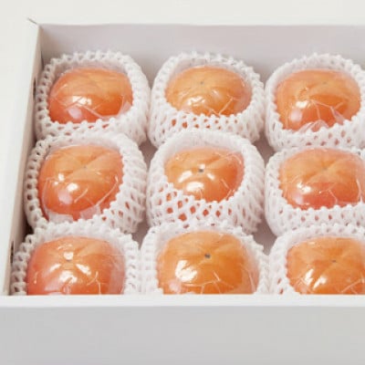 和歌山県産 紀の川柿 真空包装 2L 9個入り