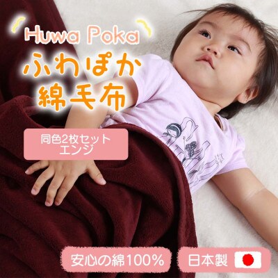 【同色2枚セット】ふわぽか 綿毛布 エンジ 100×140cm 日本製 綿100% 毛布