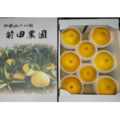 【特別栽培】和歌山県産　贈答用　八朔3L(8個入り)