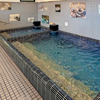 高野口乃湯 入浴券 10 枚セット