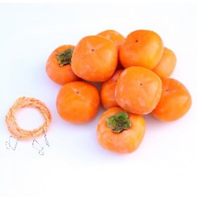 干し柿作成セット たねなし柿 [L~2Lサイズ20個] 柳フルーツ園