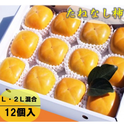 【先行受付】柳フルーツ園のたねなし柿