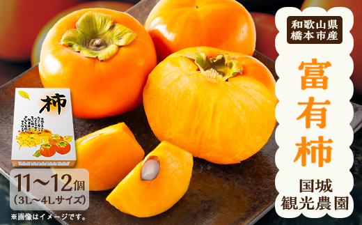 国城観光農園の富有柿11～12個(3～4L)