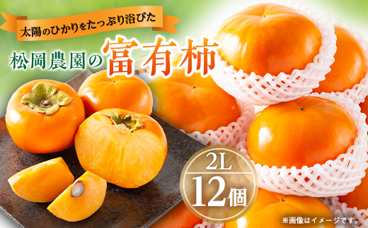 【先行予約:2026年配送】太陽の光をたっぷり浴びた松岡農園の富有柿(2L　12個)