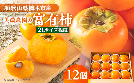 和歌山県産　美濃農園の富有柿　12個(2Lサイズ程度)【配送不可地域：離島・北海道・沖縄県】