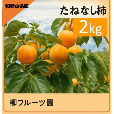 柳フルーツ園 たねなし柿 約2kg