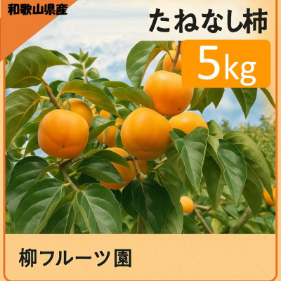 柿【先行予約2026年配送】たねなし柿 約5kg　柳フルーツ園