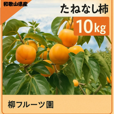 【先行予約】 たねなし柿 約10kg　【2026年秋冬配送】柳フルーツ園