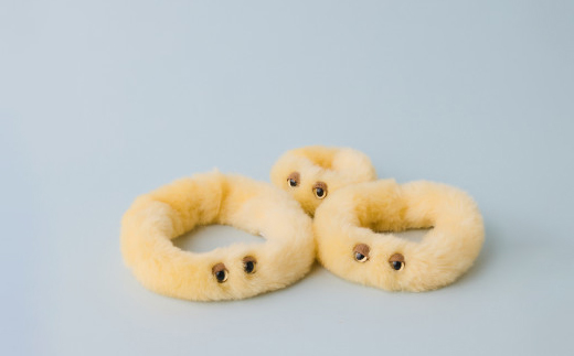 粘菌の森(ぬいぐるみ)　ヘビヌカホコリ