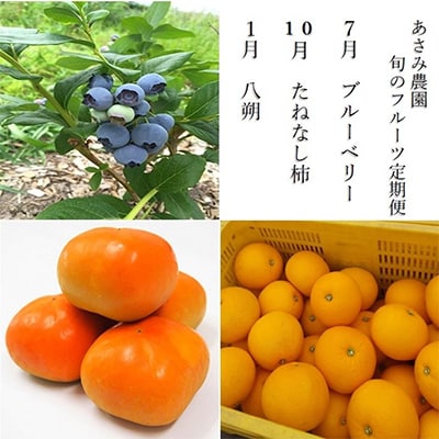【発送月固定定期便】2025-2026年　あさみ農園　旬のフルーツ3選全3回【配送不可地域：離島】
