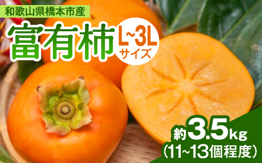 ケーズファーム　富有柿　11～13個入　約3.5kg