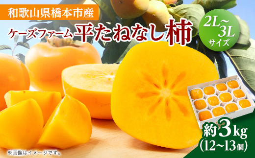 ケーズファーム　平たねなし柿　12～13個入　2L～3Lサイズ