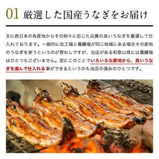 特大サイズ国産うなぎ蒲焼き170g4本セット(A1000-1)