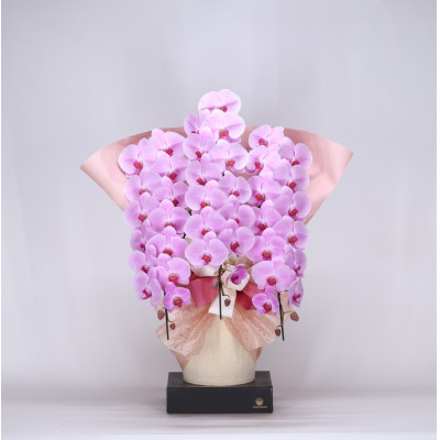 フォアスPREMIUM胡蝶蘭3本立ち45輪以上 ピンク (A1032-2) 