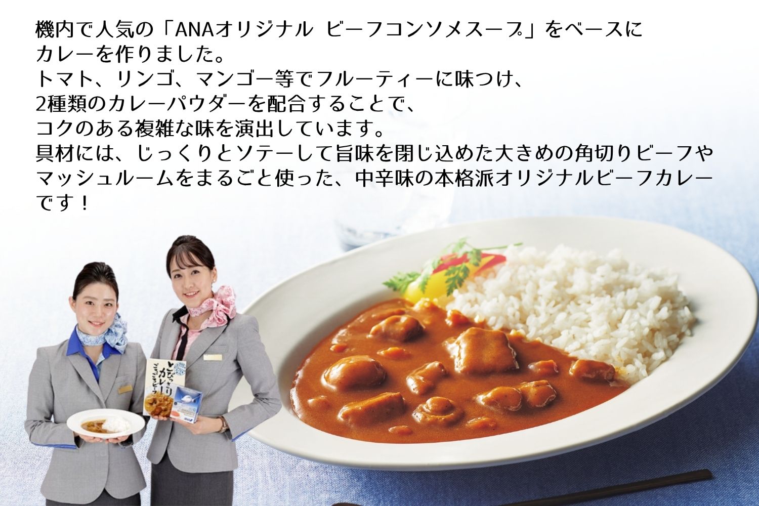 ANAオリジナルビーフコンソメスープを使ったとびっきりカレー８個セット（A1052-1）
