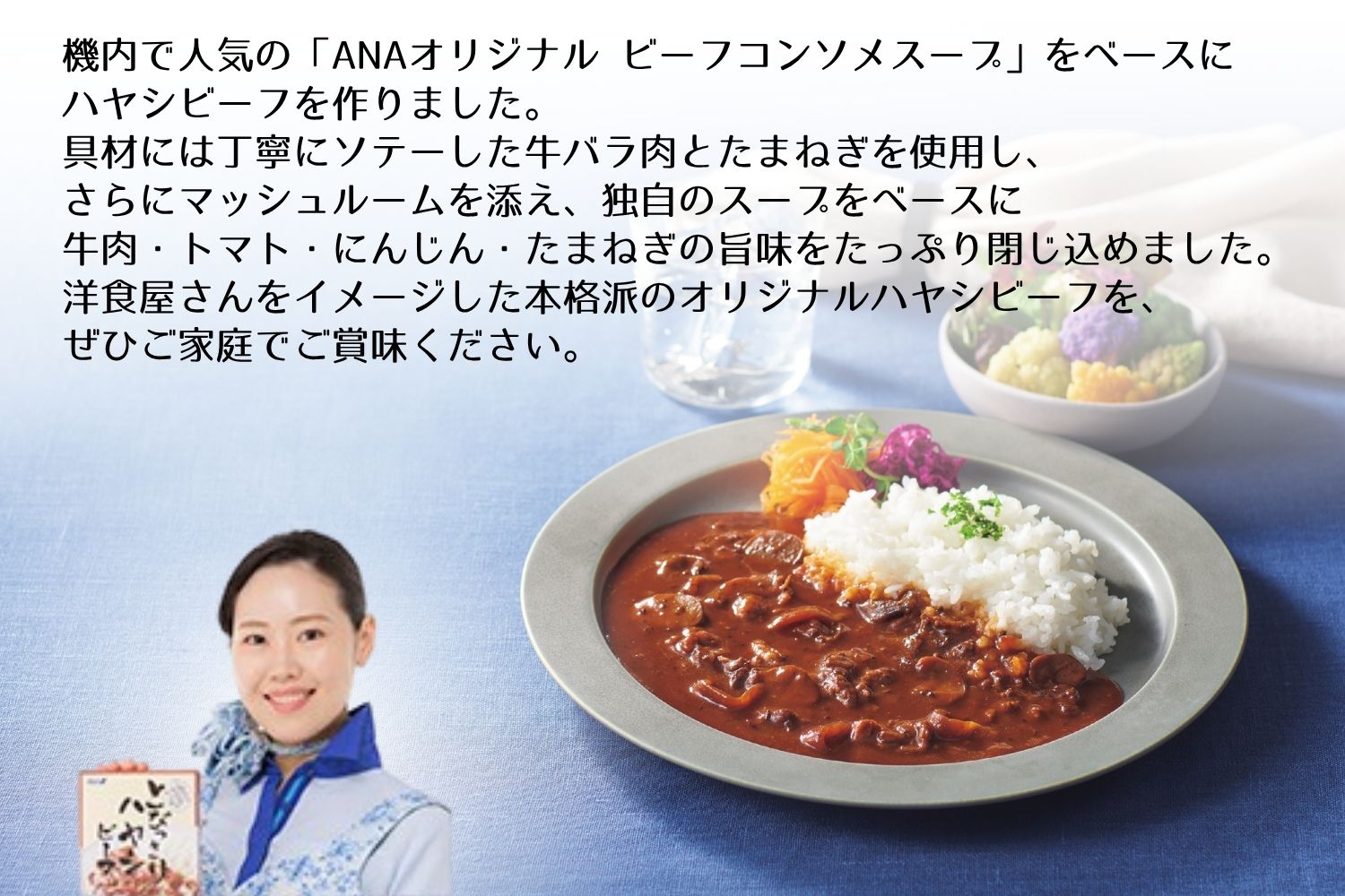 ANAオリジナルビーフコンソメスープを使ったとびっきりハヤシビーフ８個セット（A1053-1）