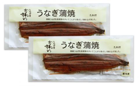 【うなぎ屋かわすい】超特大国産うなぎ2本セット(1尾：200~229g)(A113-1)