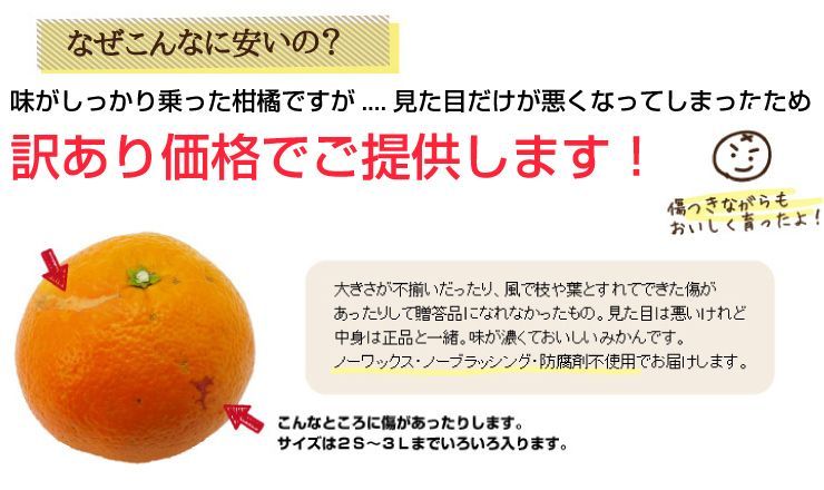 訳アリ旬のかんきつ詰め合わせ１０ｋｇ(A145-4)