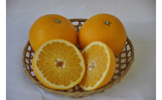 有田の旬果詰め合わせ(A152-1)