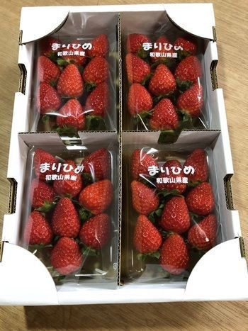 和歌山の苺「まりひめ」４パック(A153-1)