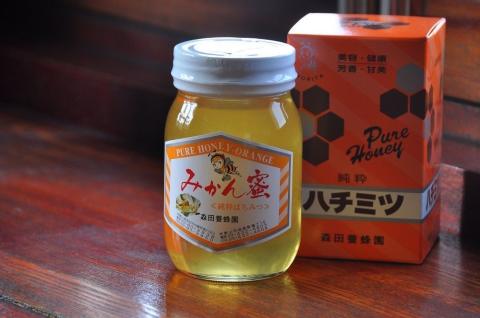 国産純粋はちみつ(みかん蜜) 600g(A163-1)