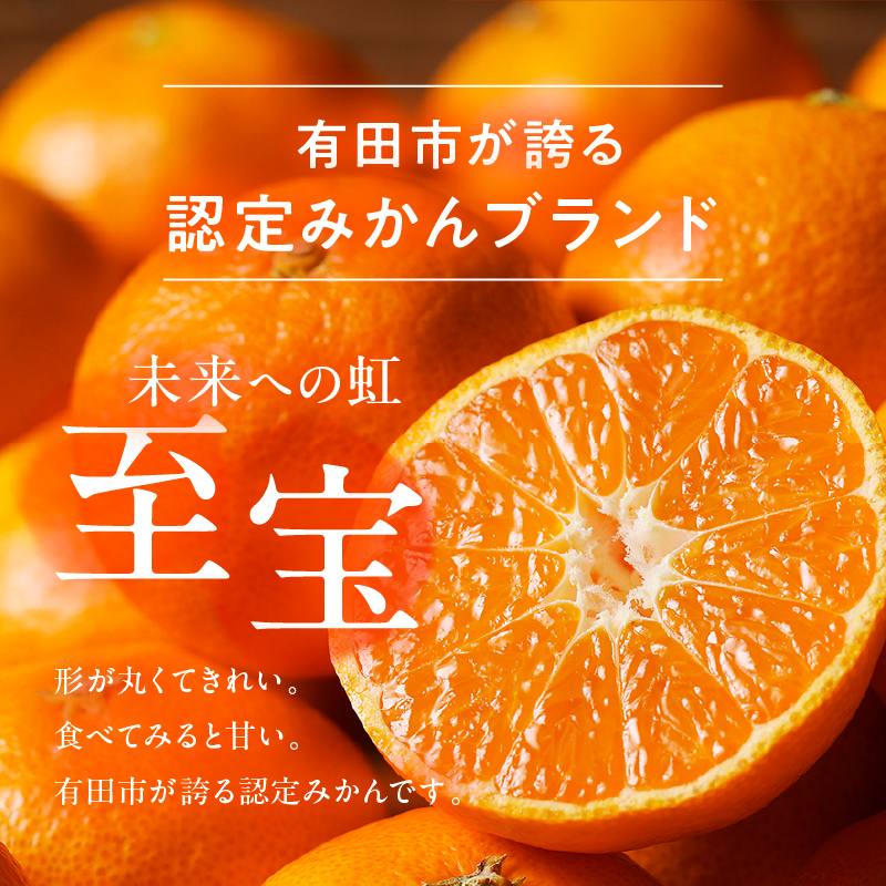 有田市認定みかん「未来への虹」至宝(5kg)【日本初自治体認定フルーツ】(A1-2) 
