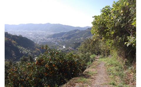 語り部と歩きたび★熊野古道★時さかのぼるありだ【完歩証付き】(A220-1)