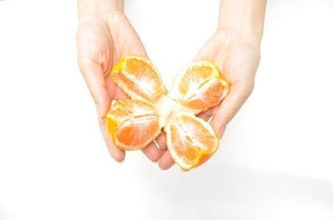 大粒２Ｌ　有田みかん「未来への虹」（約９ｋｇ）(A240-2)