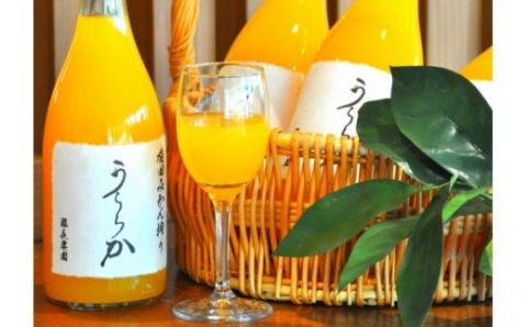 有田みかん搾り「うららか」6本セット(A292-2)