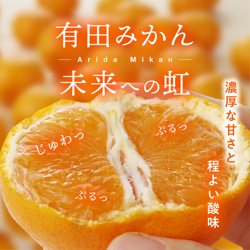 有田みかん「未来への虹」10kg(A2-2)