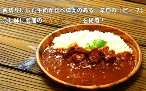 紀の国仕立てカレーセット（ビーフ・ポーク各5個）(A445-1)