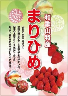 和歌山のいちご「大粒まりひめ」４パック(A460-2)