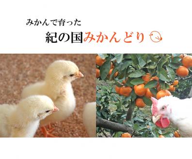【紀の国みかんどり使用】鶏鍋4人前セット(A534-2)