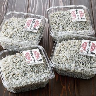 しらす職人が目利きした「釜揚げしらす」１.６ｋｇ(A535-2)