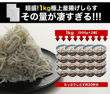 極上釜揚げしらす1kg（500g×2）(A5-1)