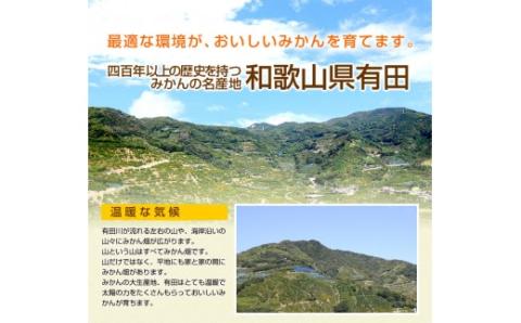 特選 旬の柑橘詰め合わせ 5kg（A882-5）