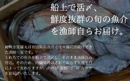 漁師の鮮魚箱（約4kg）(A890-3)