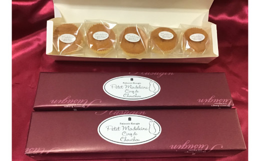 プティマドレーヌ　ｃinq de chouchou（サンクドシュシュ）(A979-2) 