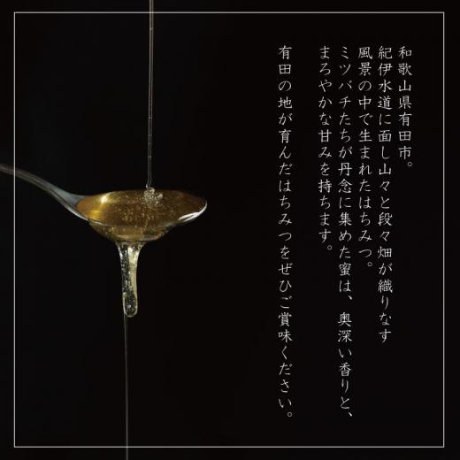 山花のはちみつチューブボトル300ｇ 2個（A1015-1）