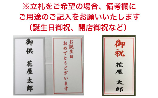 フォアスPREMIUM胡蝶蘭3本立ち39輪以上 ピンク (A1031-2) 